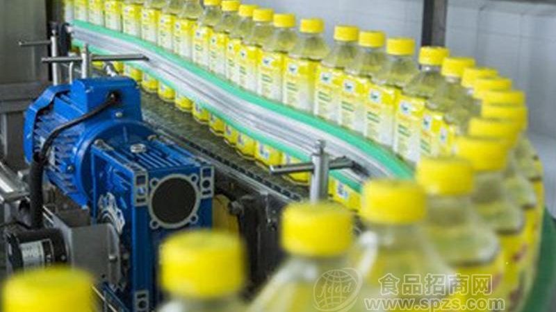 火腿肠灌装自动化：揭秘全自动火腿肠灌肠机报价背后的考量**