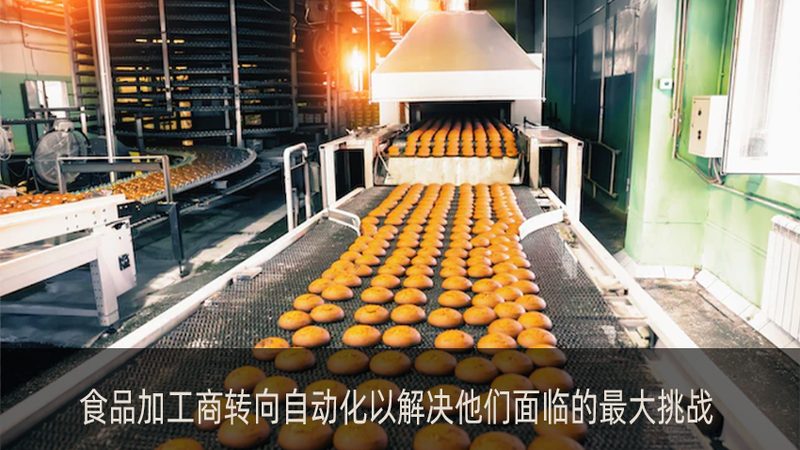 山东面条机：揭秘高效生产线背后的关键技术**